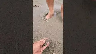 What is this called ? #weird #yashkeexperiments #sand