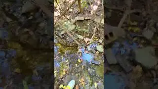 Catching minnows gone wrong ￼