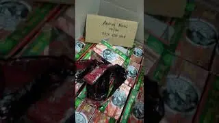 Jamu WANTONG ASLI Tlp/WA 087853335884