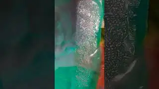 Saree Stone work