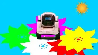 Our Robot Cozmo and 3 magic tricks