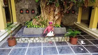 Ancient Instrument Ravanahatha in Nature | Drone Cinematic at Radisson Blu Kumbhalgarh 4K Drone