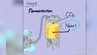 Team 5 (Purple) Beer Brewing Process