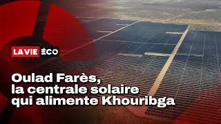 Immersion à Oulad Farès, la plus grande centrale photovoltaïque du Maroc