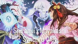 Mayakashi x Shiranui Synchro Only (Yu-Gi-Oh Master Duel)