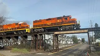 early spring catches