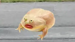 IT IS WEDNESDAY MY DUDES