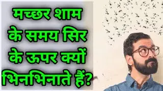 मच्छर शाम के समय सिर के ऊपर क्यों भिनभिनाते हैं? #RSTECH
