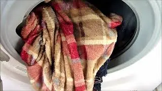 Best Cycle to Wash Pet Bedding