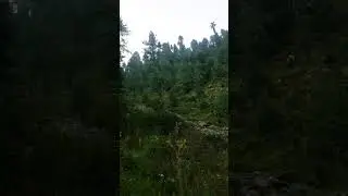 shangwary #swat #trending #viral