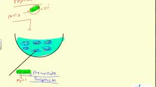 peptization