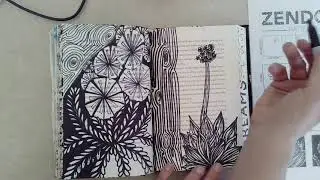 Zentangle: Patterns in Nature