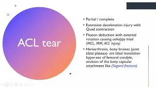 MRI cruciate ligament