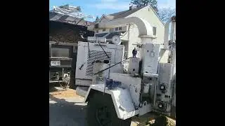 Tree grinding clean up services Babylon NY
