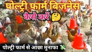  2026 मे🐓 Poultry farm Business Plan | कमाए 1 लाख 💸सिर्फ  90 दिनों में🤷