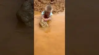 The baby monkey wades through the water to find food.#monkey #babymonkey #cute