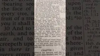 Genesis 1:26-31