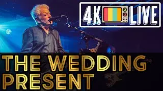 The Wedding Present - Brassneck, live 4k Berlin 2024