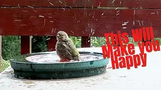 This Will Make You Happy :) 