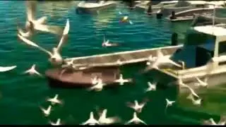 Finding Nemo seagulls saying mine 