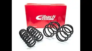 AP-UK - Eibach Springs