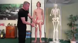 How to assess Posture and Body Alignment for Therapists | Amatsu Orthopathy