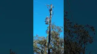Linemen Doing Their Thing After Squirrel Mishap!