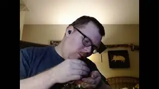 Blueberry Moon pie Review! #moonpie #foodreview (road to 150 subs by 2025)!