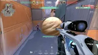 World's Smallest Violin