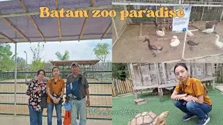 Weekend seru di Batam zoo paradise | menjelajahi hewan&sup2;