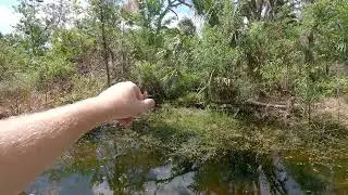 Marshall Hampton Reserve Winter Haven, Florida