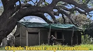 Best Places to Stay in Gonarezhou | Chipale Tented Camp