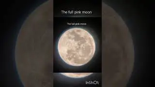the full pink moon