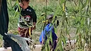 阿丽玛被阿里赶出家门