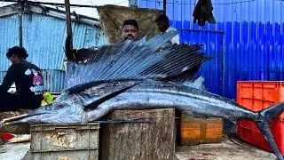 KASIMEDU MAIL KOLA FISH 🐟 CUTTING VIDEO BY SPEED SELVAM \ CUTTING FOCUS