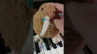 Kiwi teaches First day piano lessons, with Autistic brain.