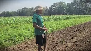 Farm Hack: Planting Corn with Smart Cooperation _FarmersLife _Shorts