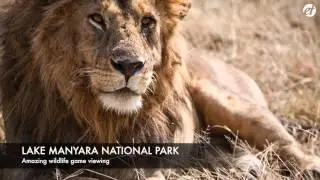 Treasures of Tanzania