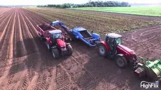 Beetroot harvest - William f moore warplans ltd