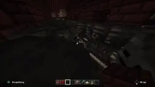 Wither skeleton spawnrates be like