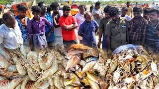 கம்மிவிலையில் மீன்கள் வாங்க சிறந்த இடம் Best place to buy fish at cheap prices
