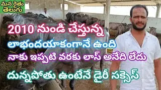 డైరీ 2010 నుండి చేస్తున్న నాకు ఇప్పటి వరకు లాస్ అనేది లేదు లాభాదయాకంగానే ఉంది  |  మన రైతు తెలుగు