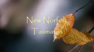 New Norfolk Tasmania in Autumn