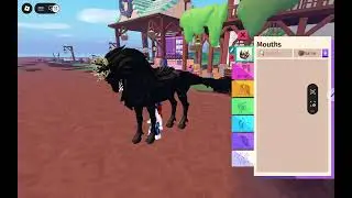 Tips for new people in horse life ( my first video)