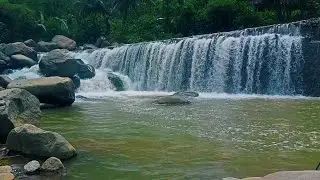 Waterfall Flow in a Tranquil Forest Setting &ndash; Natural White Noise for Sleep and Stress Relief