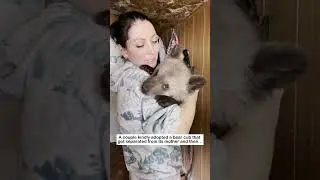 Lost Bear Cub #wildliferescue #rescue #animalfriendshipgoals #animals #cute#bear #love #lovestory