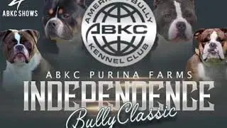 ABKC ST LOUIS SHOW 2019.