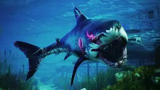 BULLSHARK TESTOSTERONE 🦈 Increase Testosterone Subliminal