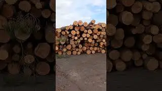 Logs in Cumbria timber delivery