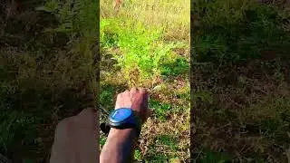 Attitude Adds #new #minivlog #harivlog #2024